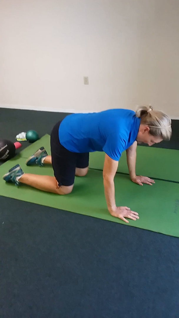 Golfer Fitness Stability - Bird Dog